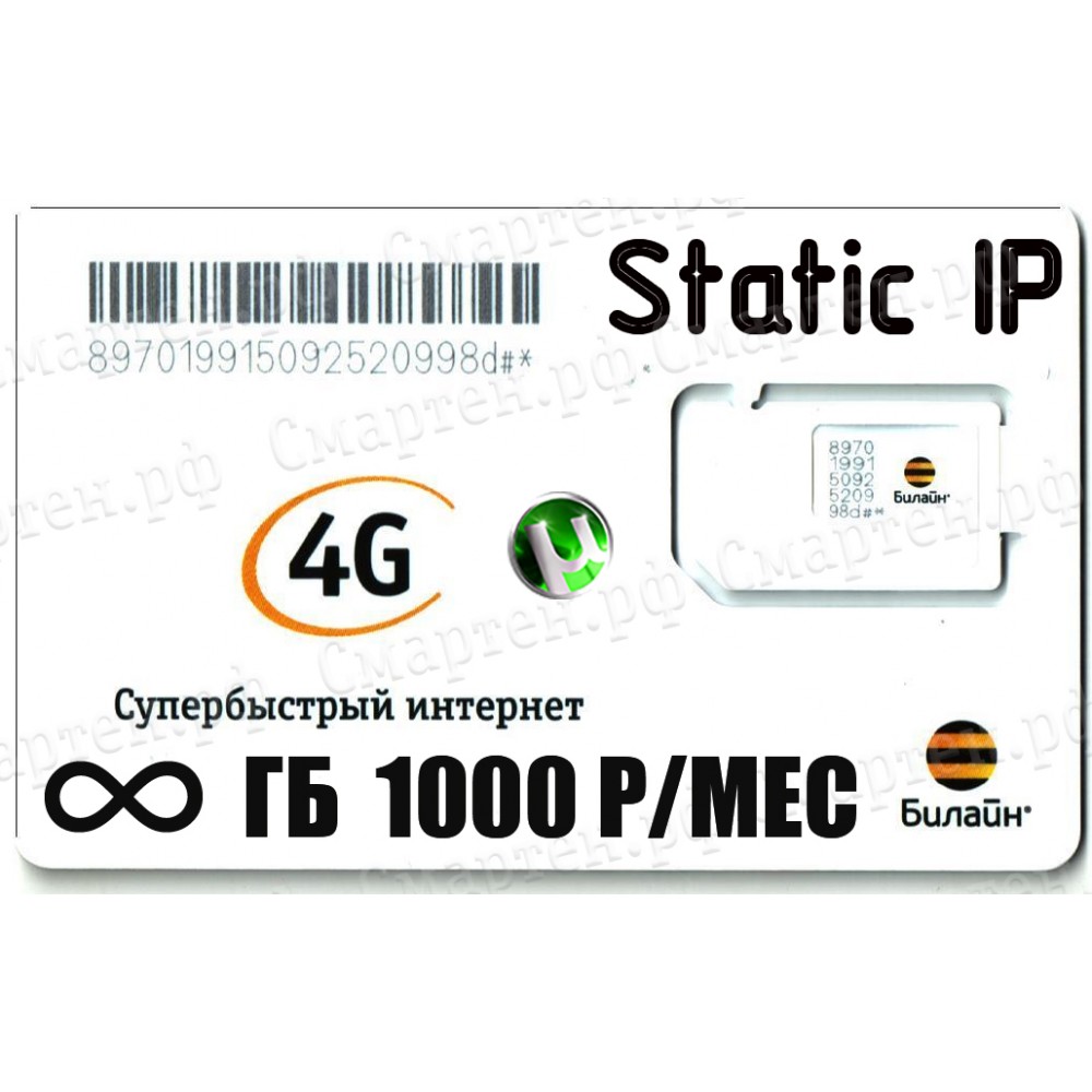 Безлимитный Тариф Билайн Static IP 1000 купить в г. Краснодар